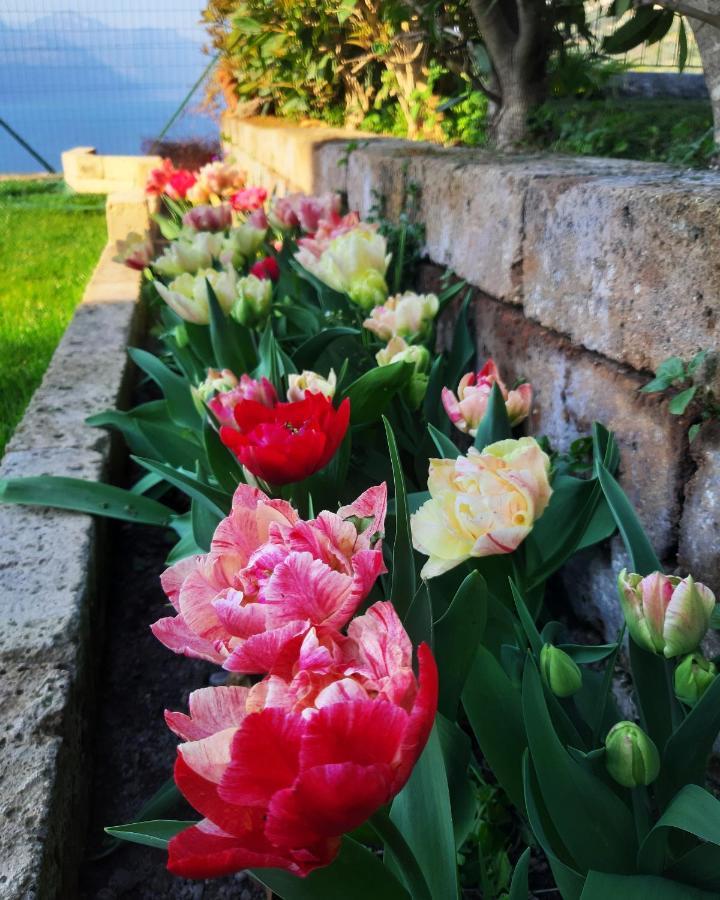 Appartamento Anna Brenzone sul Garda Exterior photo